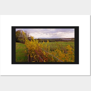 Fall Wildflowers Beautiful Autumn Season Peaceful Landscape Photograph Art Country Farmhouse Posters and Art